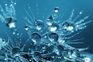 Cellular mechanics